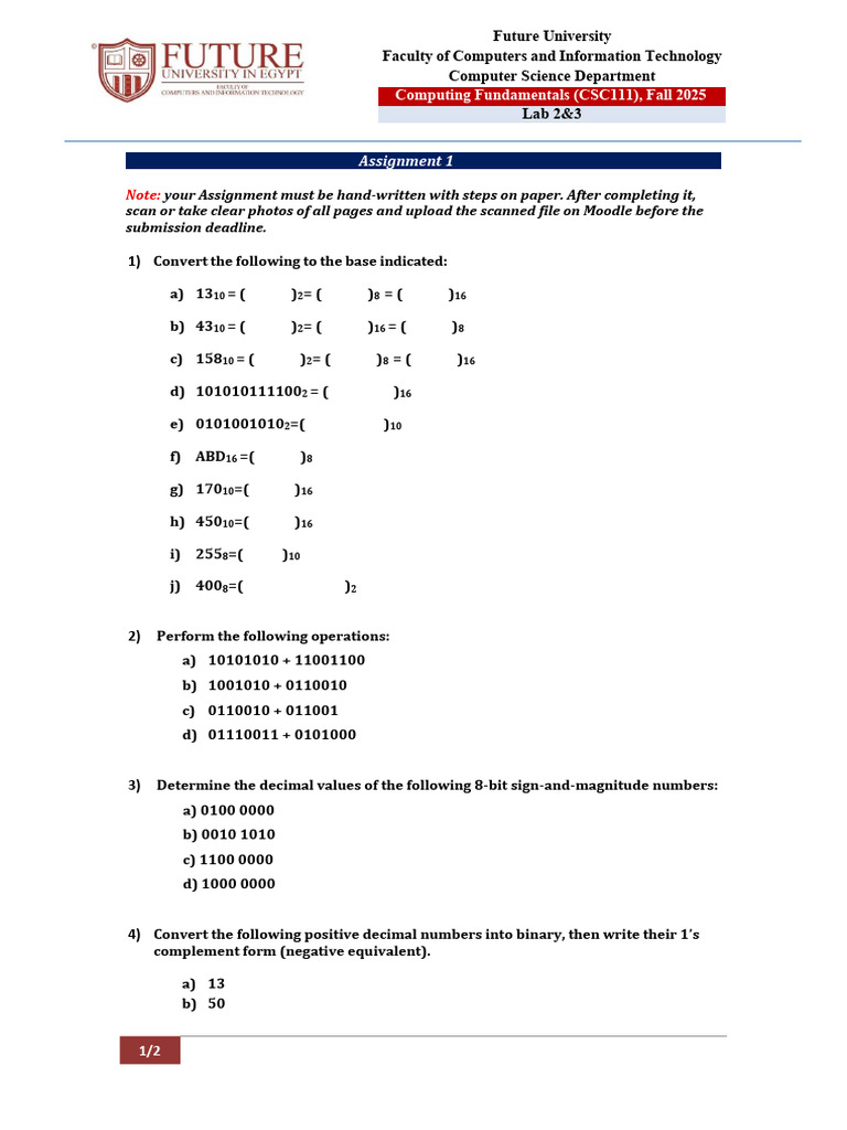 Numbering System Assignment | PDF