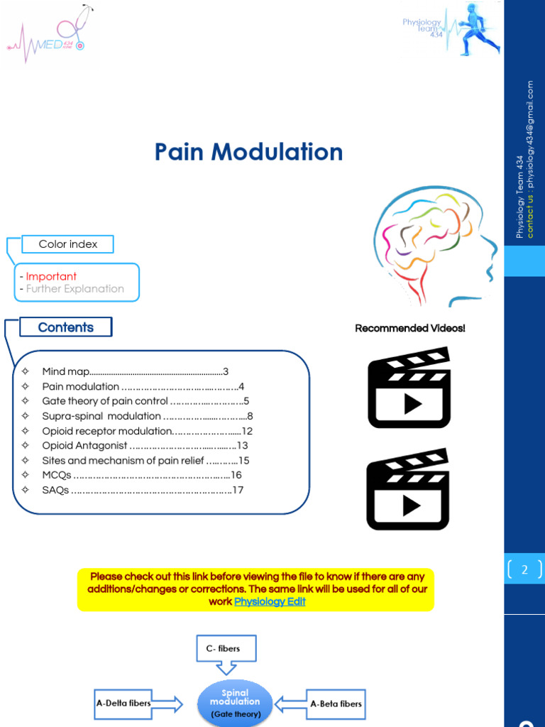 Pain Modulation | PDF | Pain | Axon