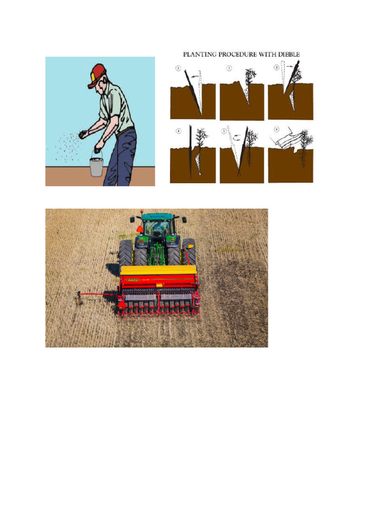 Planting Methods | PDF