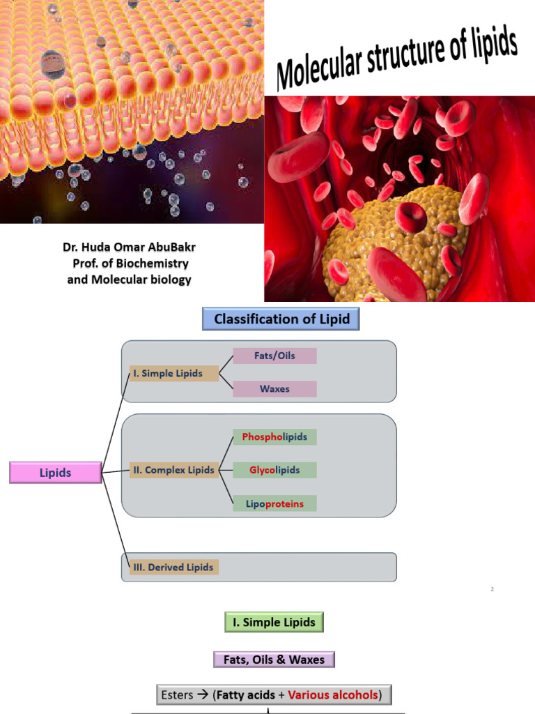 4-Lipids (2) | PDF | Triglyceride | Lipid