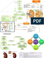 Insuficiencia Renal