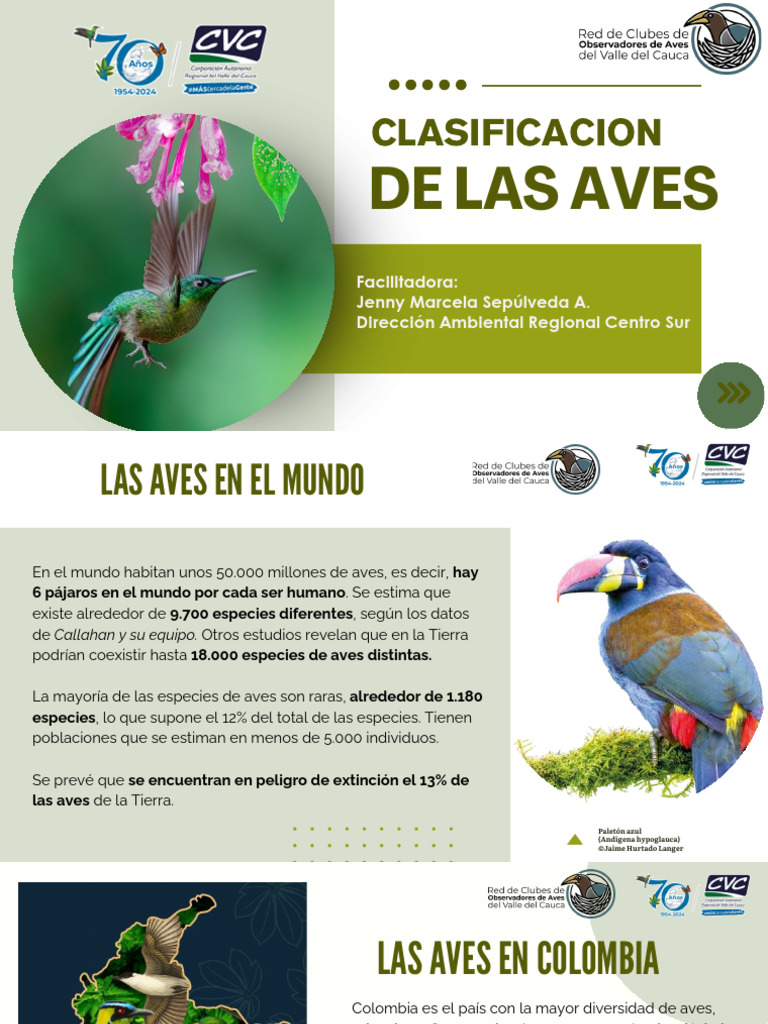 Clasificacion Aves | PDF | Aves | Ornitología