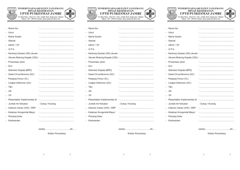 04 Form Pemeriksaan Usg | PDF