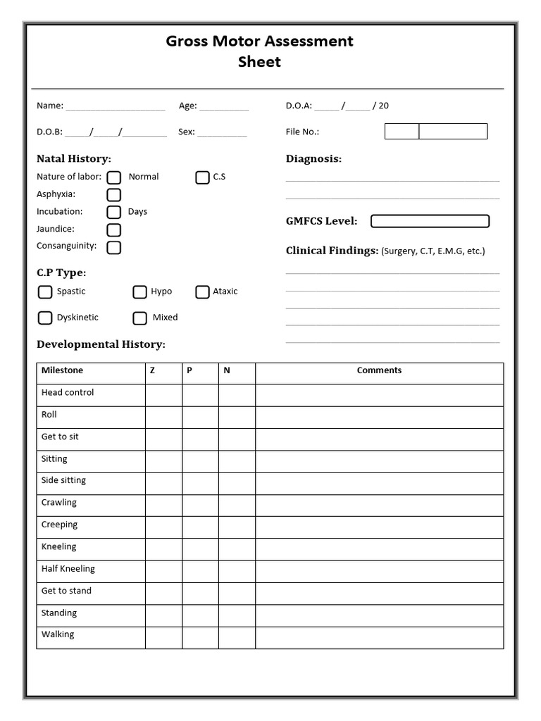 Gross Motor Assessment Sheet | PDF | Cerebral Palsy | Disability