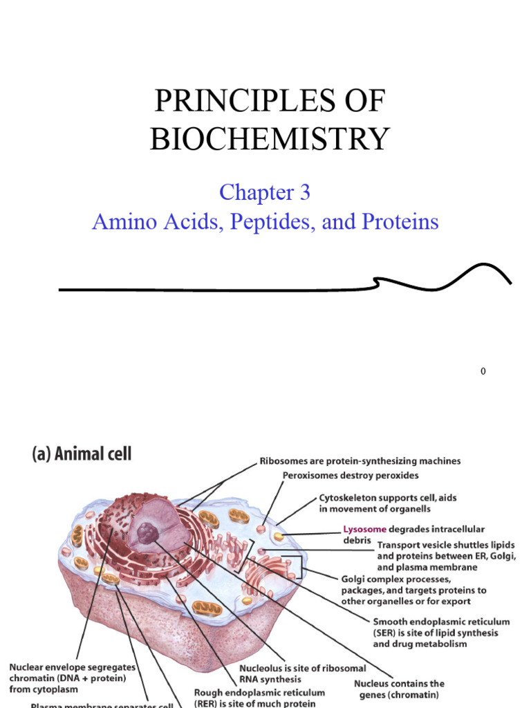 CH 03 | PDF
