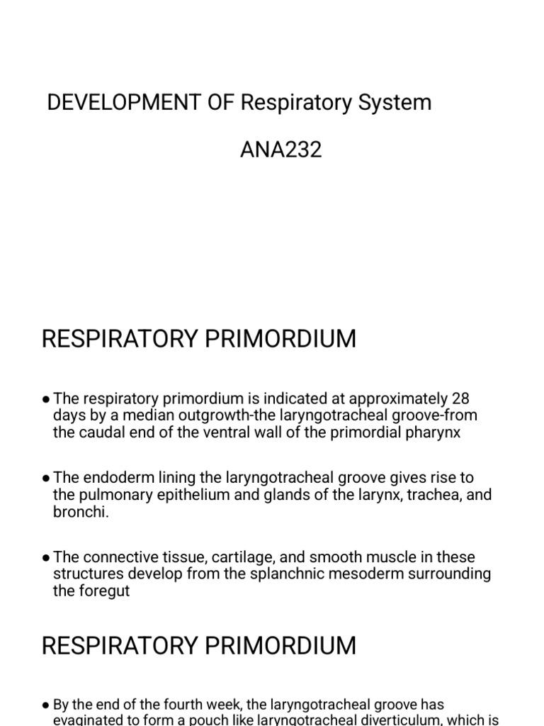 DEVELOPMENT of Respiratory System | PDF | Larynx | Respiratory Tract