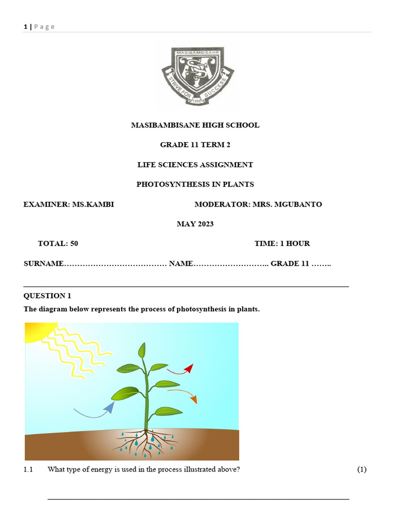 Gr 11 Term 2 Assignment Example | PDF | Photosynthesis | Leaf
