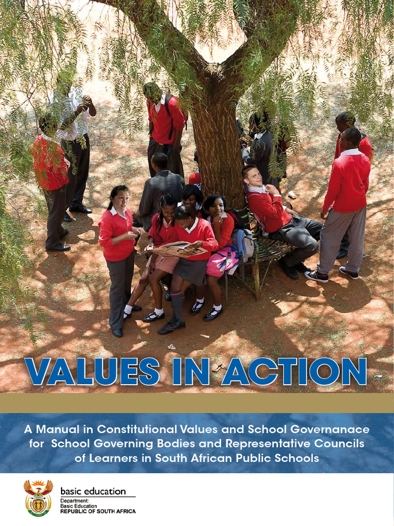 Values in Action Manual | PDF | Governance | Democracy