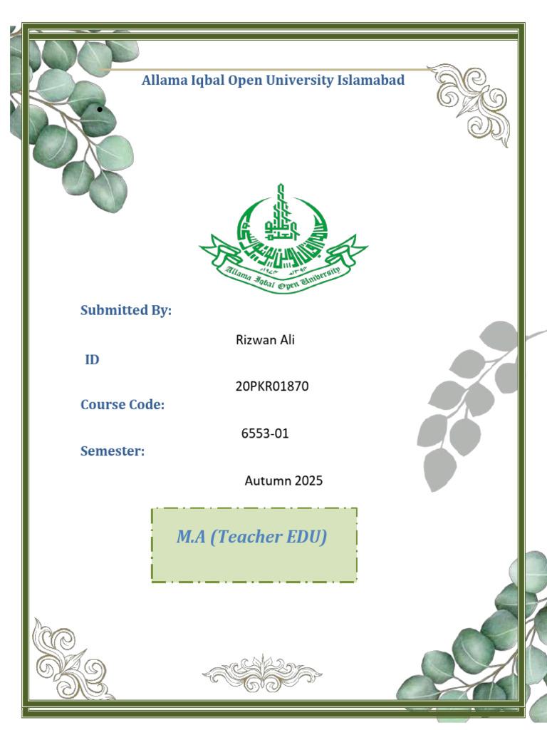 6553-01 Rizwan | PDF