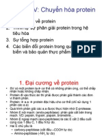 Hoasinhthucphamchuong Protein