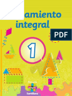 Pensamiento Integral 1