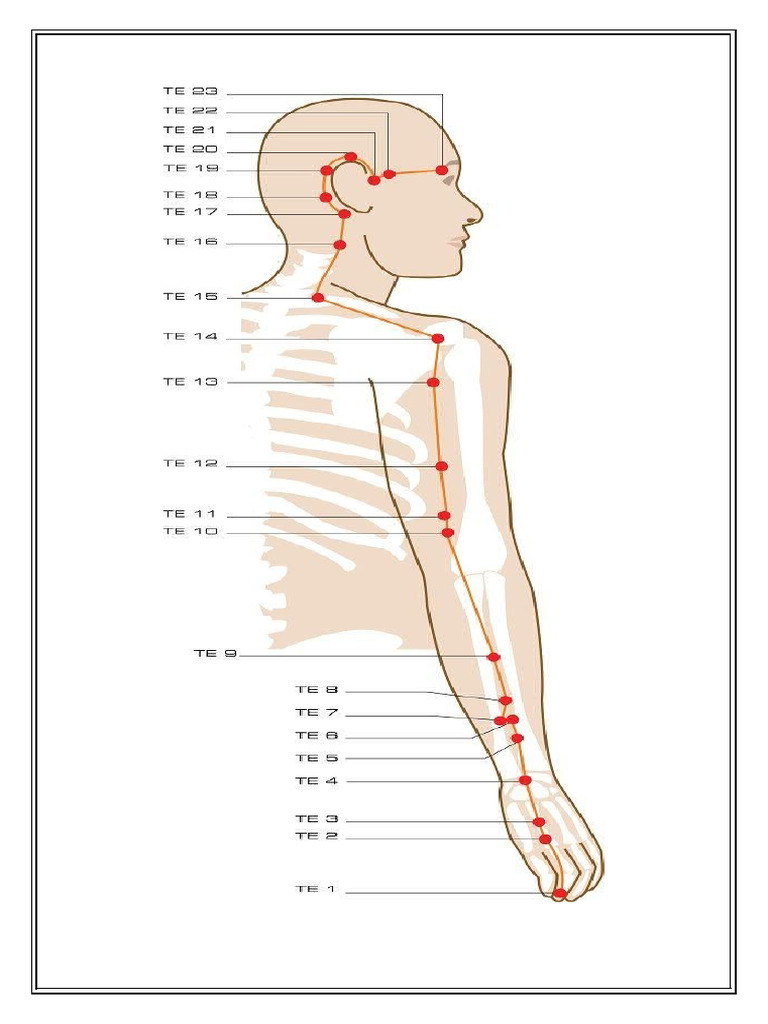 Meridian Points Diagrams | PDF
