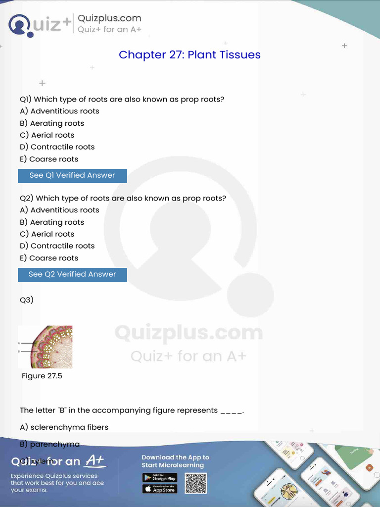 Which Type of Roots Are Also Known as Prop Roots | PDF | Root | Nervous ...