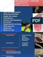 Clase Teórica de Platelmintos