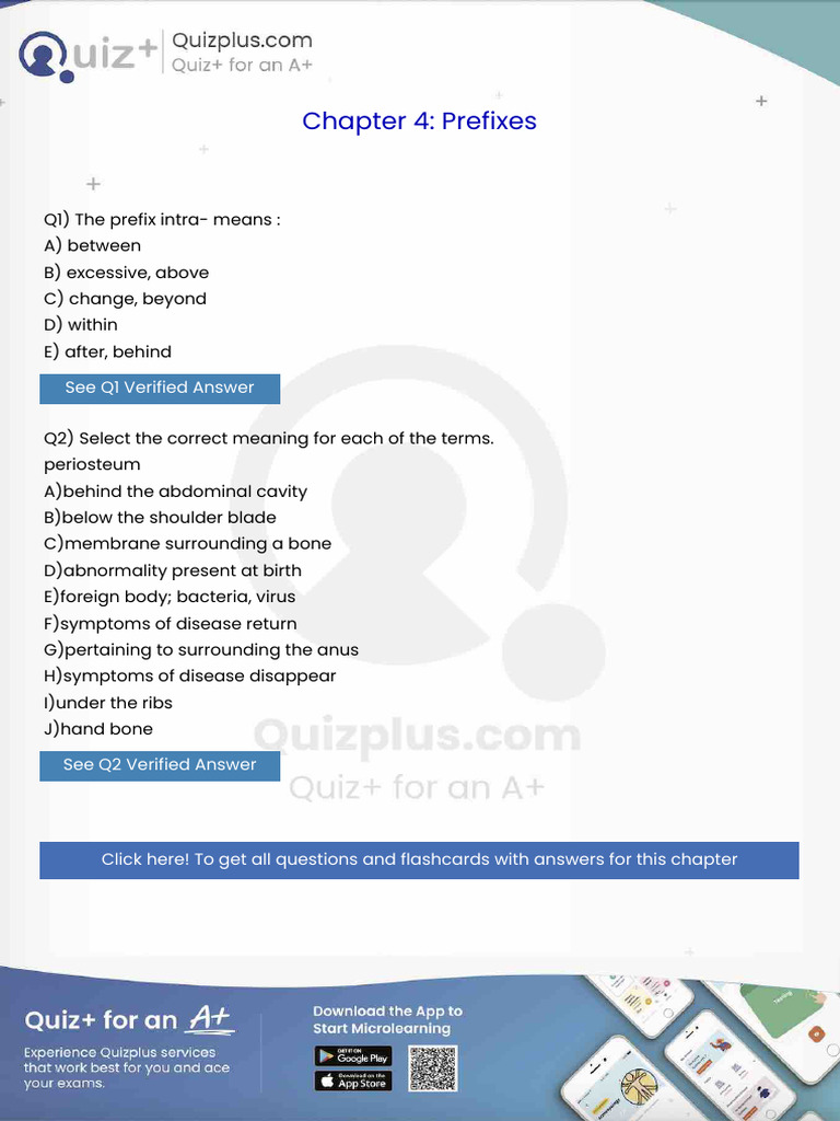 The Prefix Intra Means | PDF | Urinary System | Brain