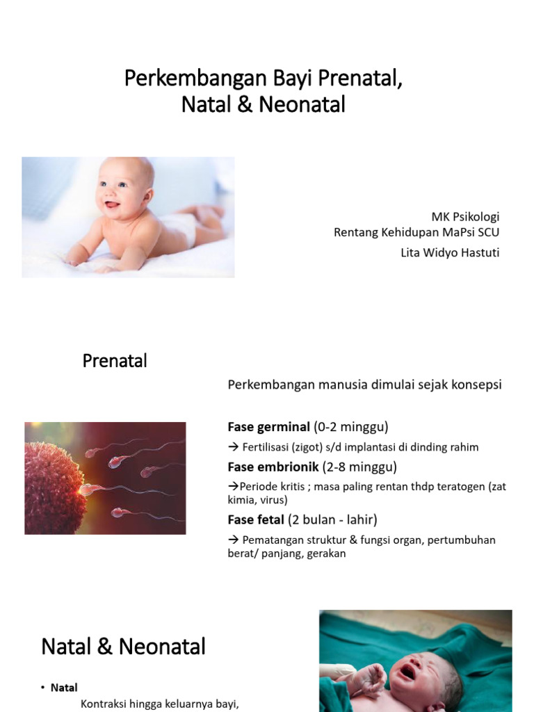 Prenatal, Natal, Perinatal | PDF