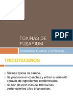 Gran Fusarium