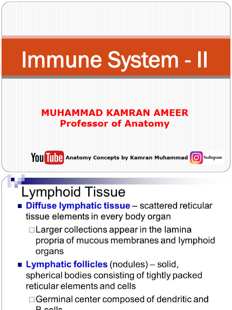 AA PART B Refined Lymphoid System | PDF | Lymph Node | Lymphatic System