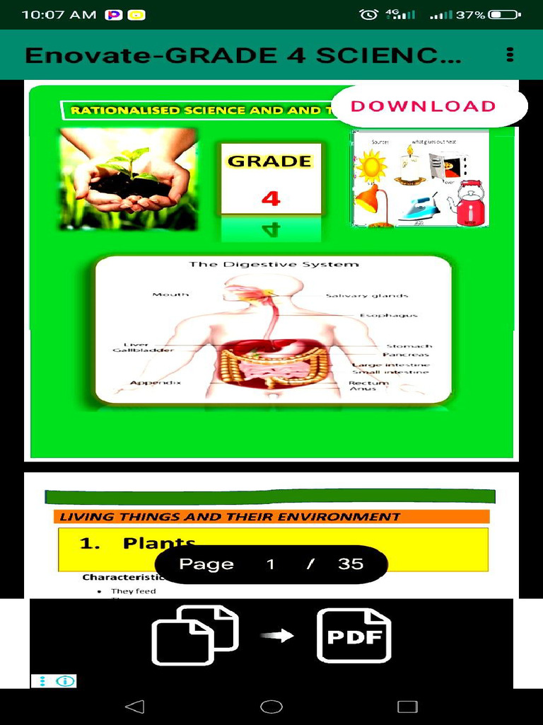 Grade 4 Science and Technology Notes | PDF