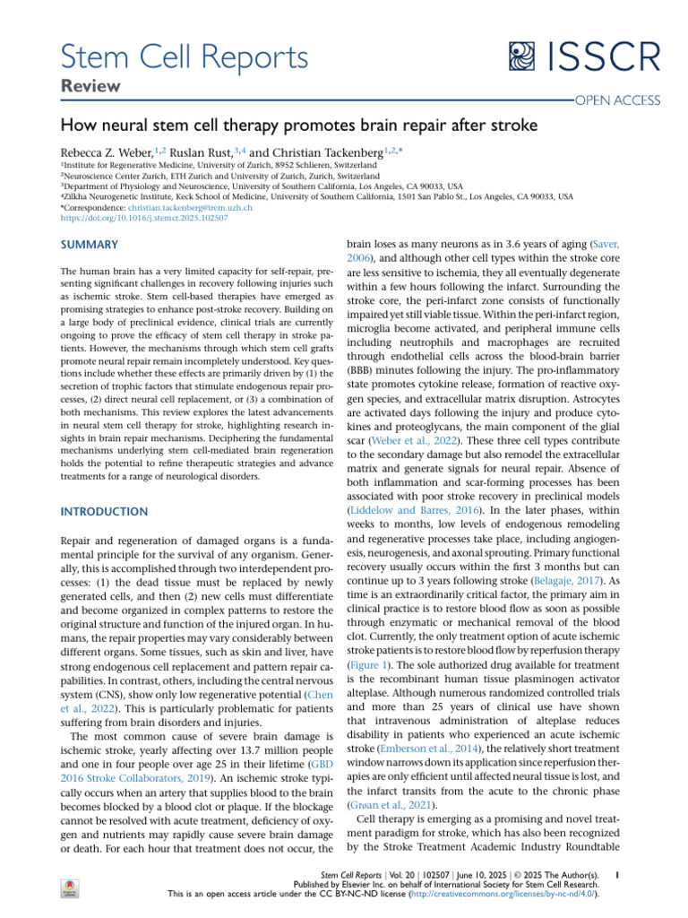 Stem Cell Reports: How Neural Stem Cell Therapy Promotes Brain Repair ...
