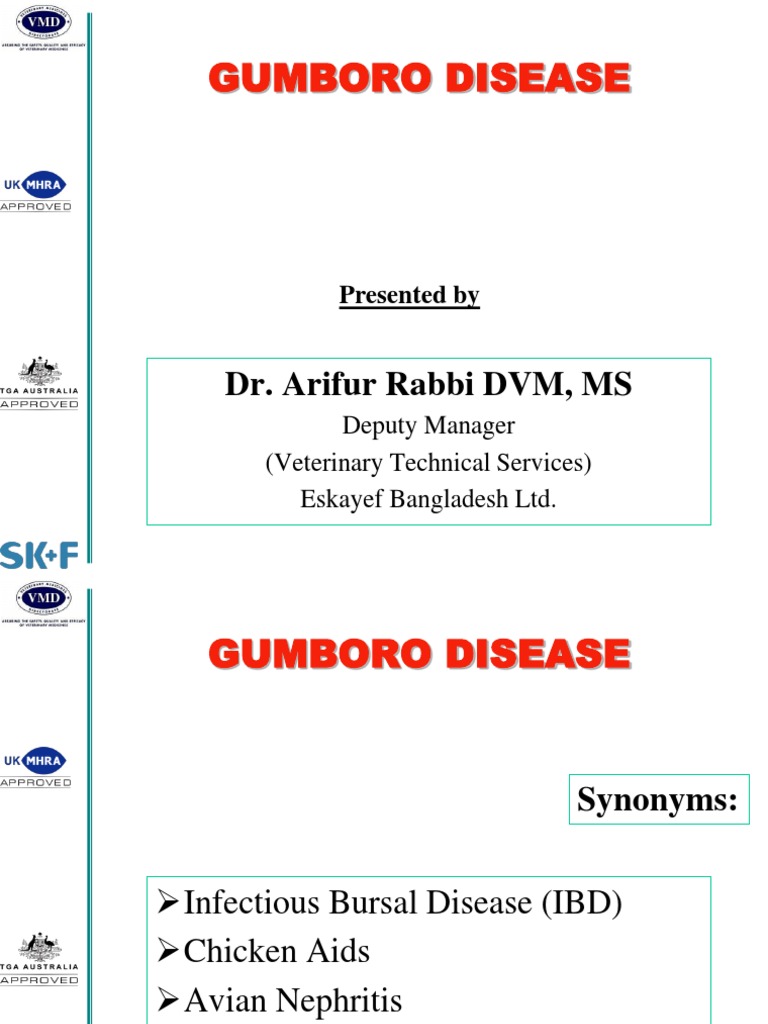 Ibd nursing thesis 04 image