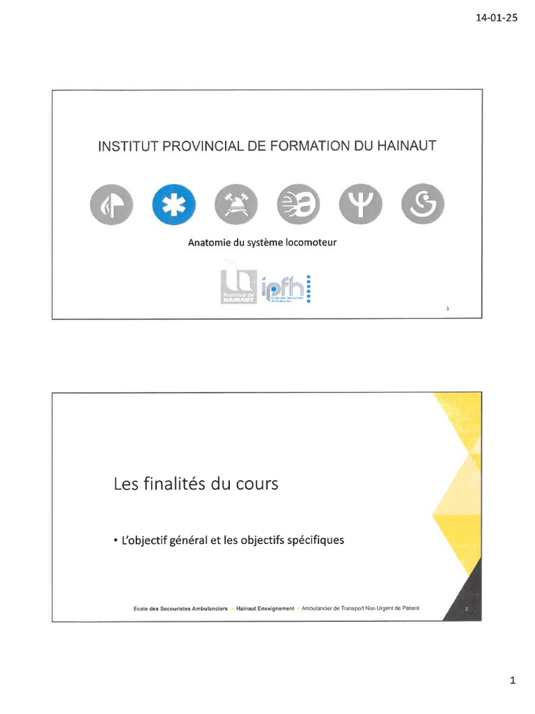 Journee 3 Anatomie Systeme Loco | PDF