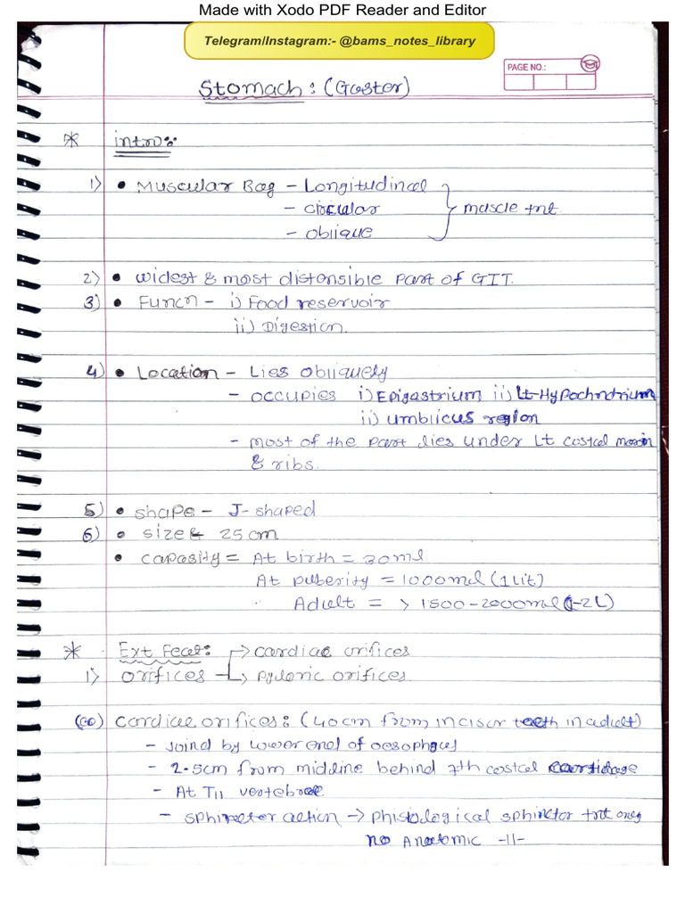 Digestive System Anatomy @Bams_notes_library | PDF | Computer File Formats