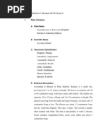 Kamias jam price picture