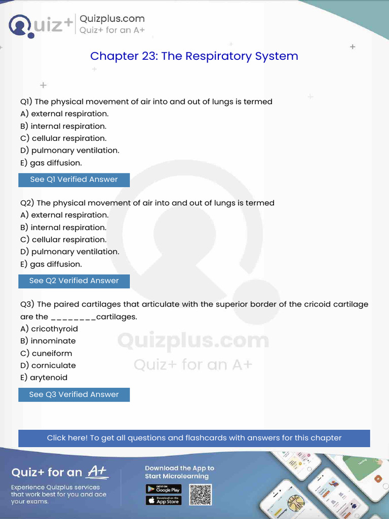 The Physical Movement of Air Into and Out of Lungs is Termed | PDF ...