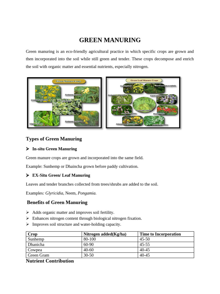 Green Manuring 1 | PDF | Manure | Soil