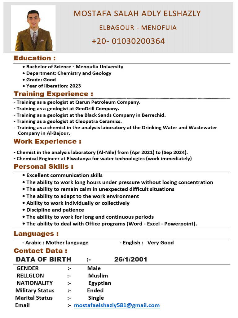 Mostafa Cv New | PDF