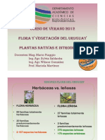Curso Verano Flora - 2012 - Comunidades Herbáceas
