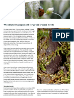 Woodland Management - Great Crested Newts