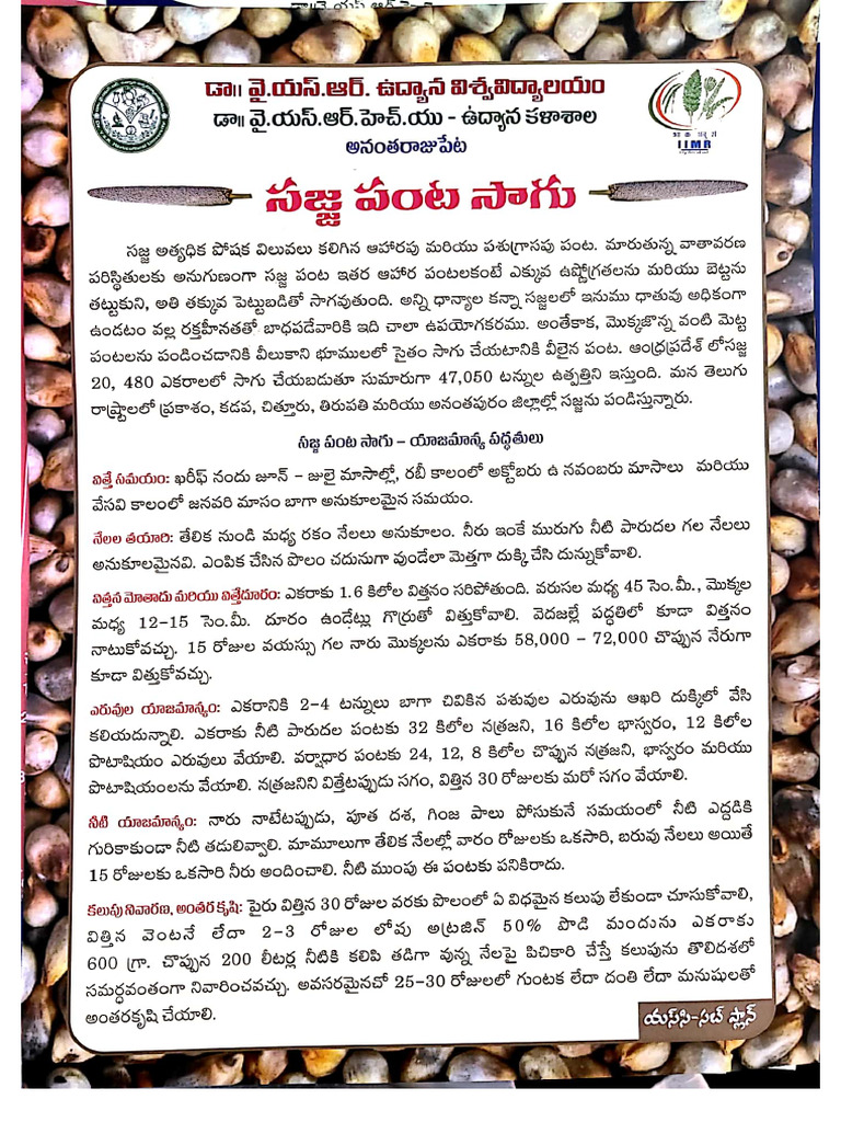 Pamphlets | PDF