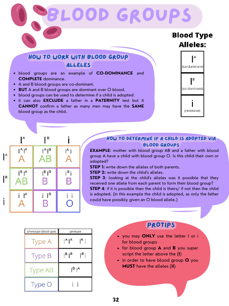 Monohybrid Cross Note | PDF
