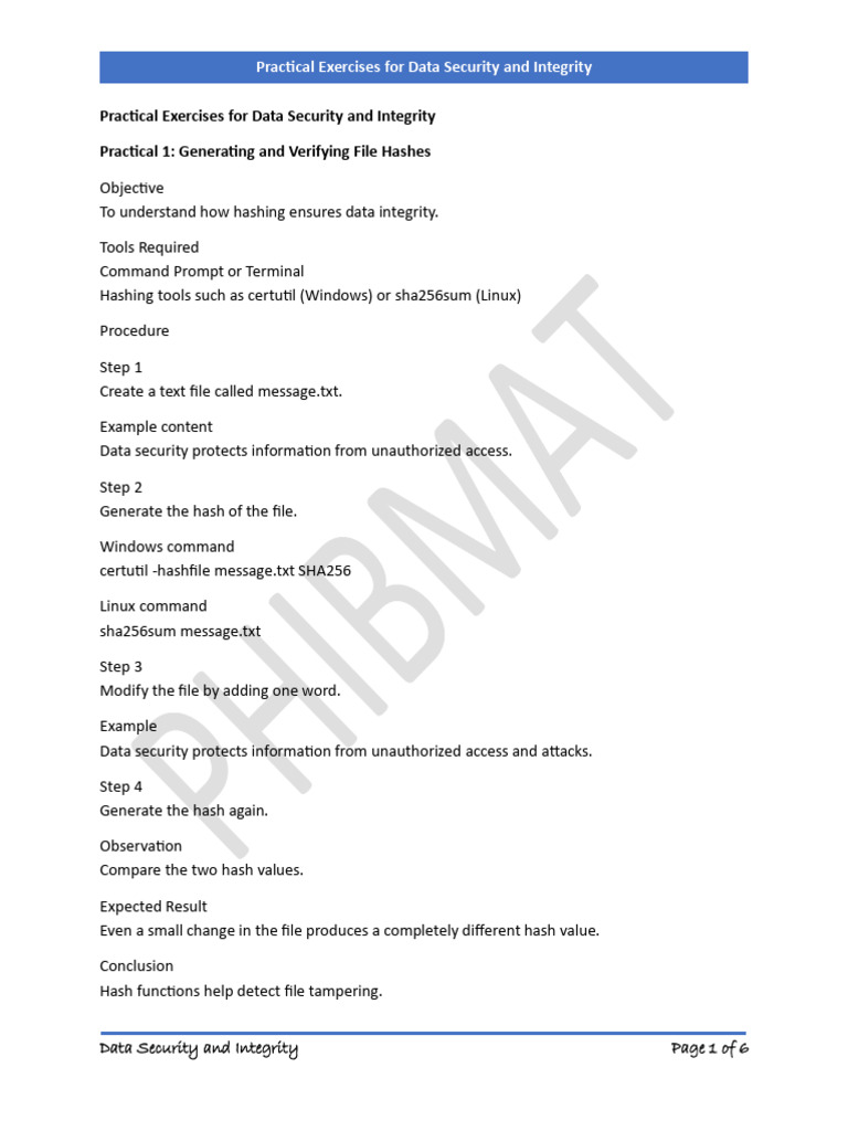 Practical Exercises for Data Security and Integrity | PDF