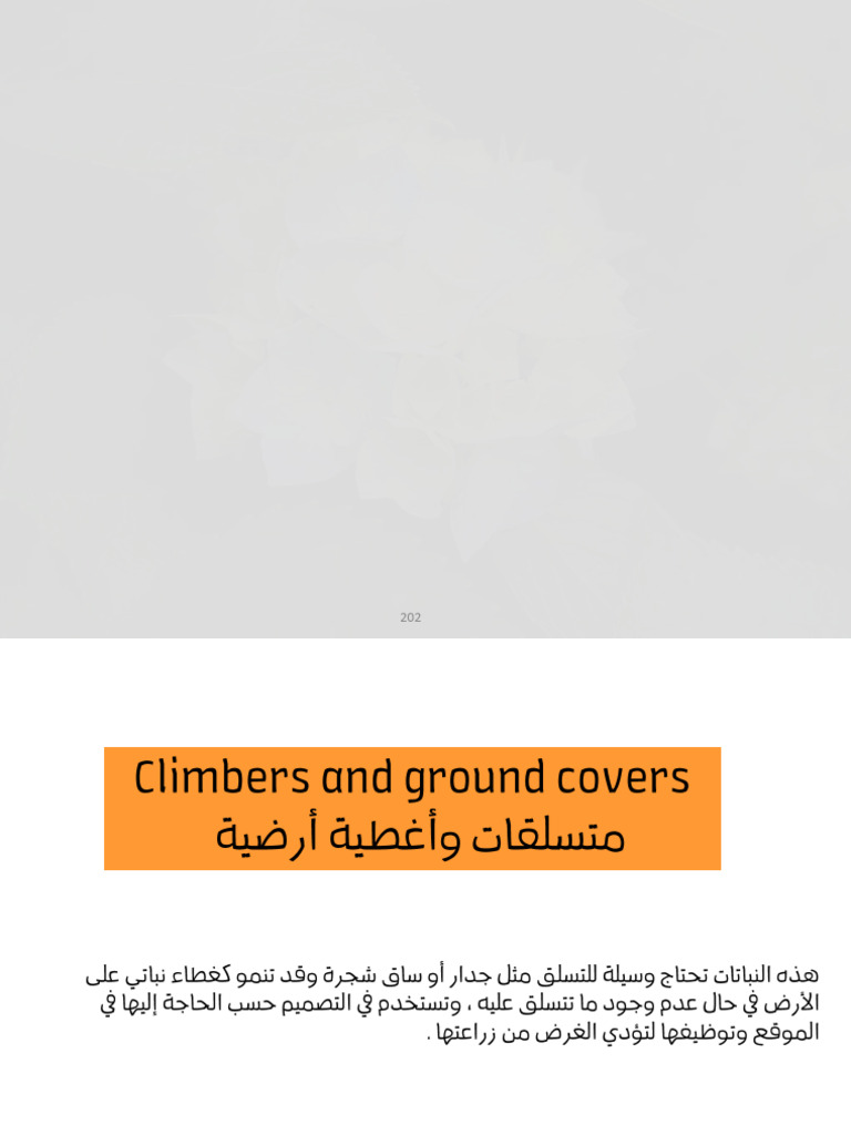 Climbers and Ground Covers in Jordan | PDF