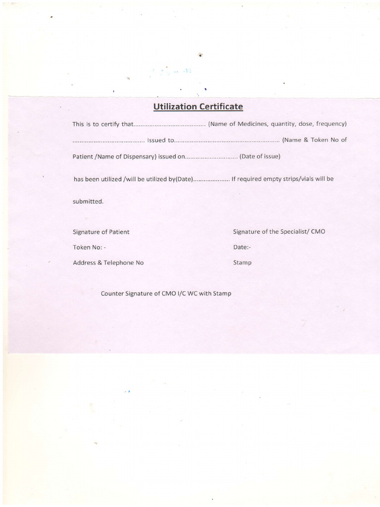 Utilization Certificate | PDF
