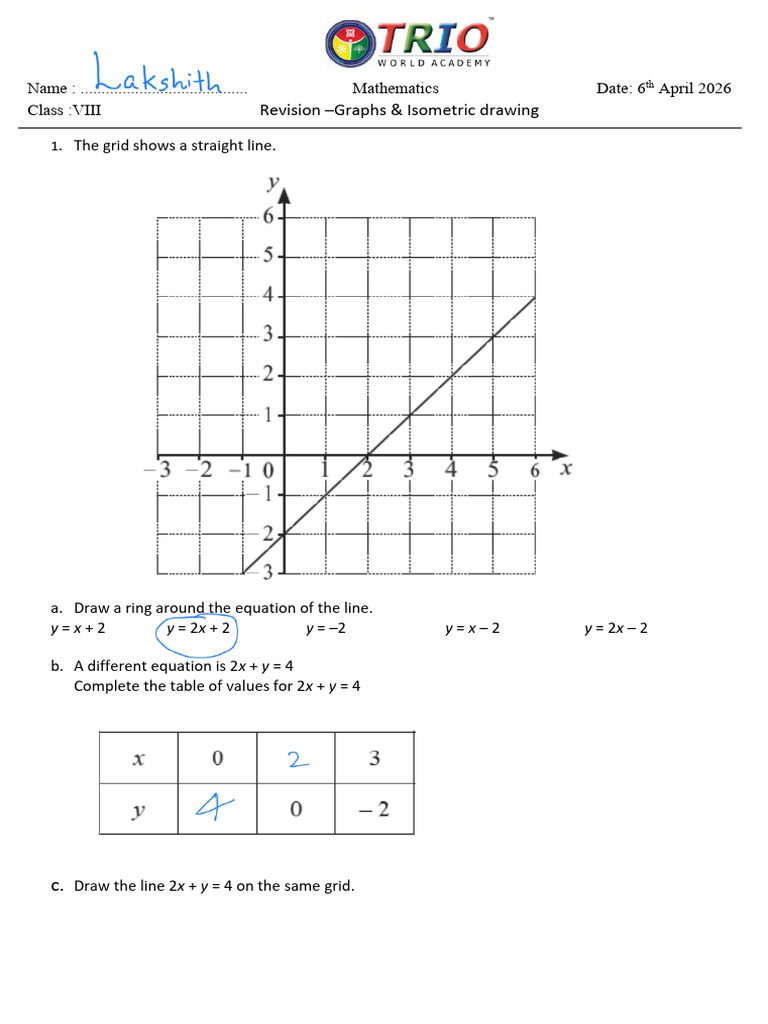 Graphs & Isometric Drawing Worksheet | PDF