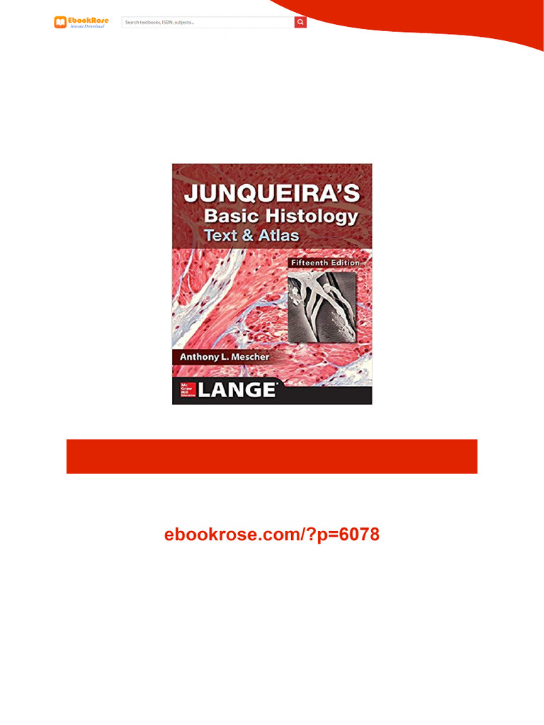 Junqueira's Basic Histology: Text and Atlas, 15th Edition Full