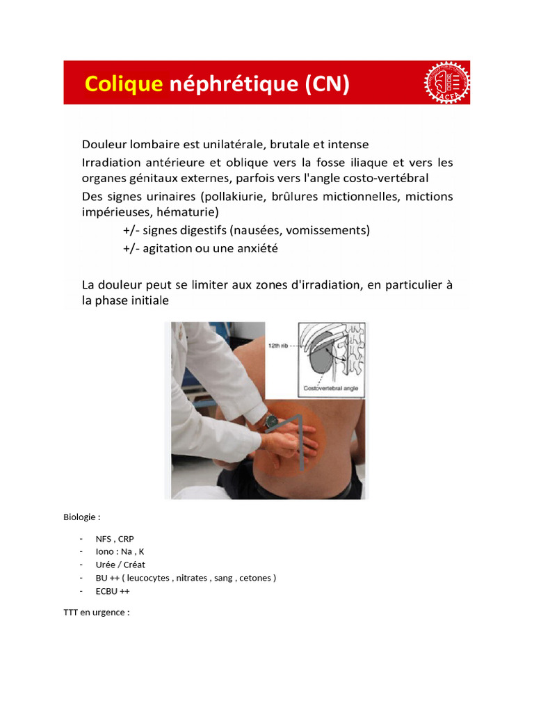 Colique nephretique | PDF