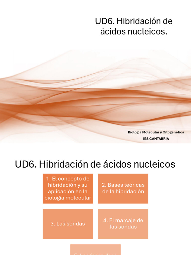 UD6 HIBRIDACION | PDF | Hibridación de ácido nucleico | Adn