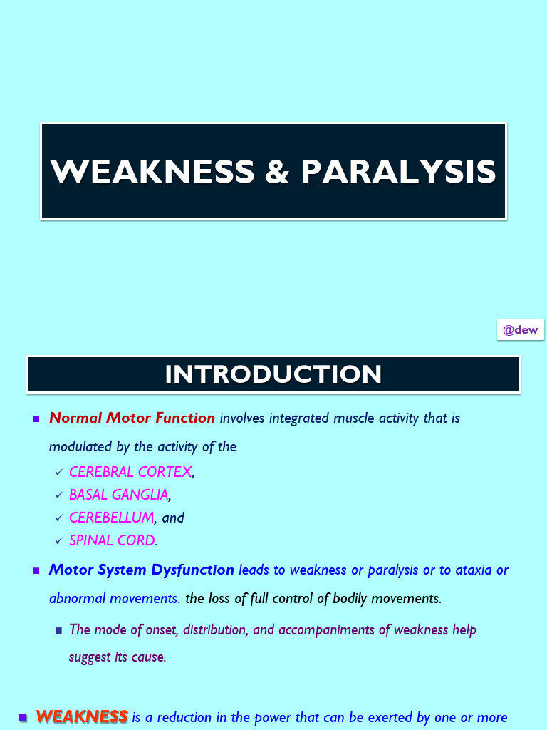 Weakness and Paralysis | PDF | Motor Neuron | Spinal Cord
