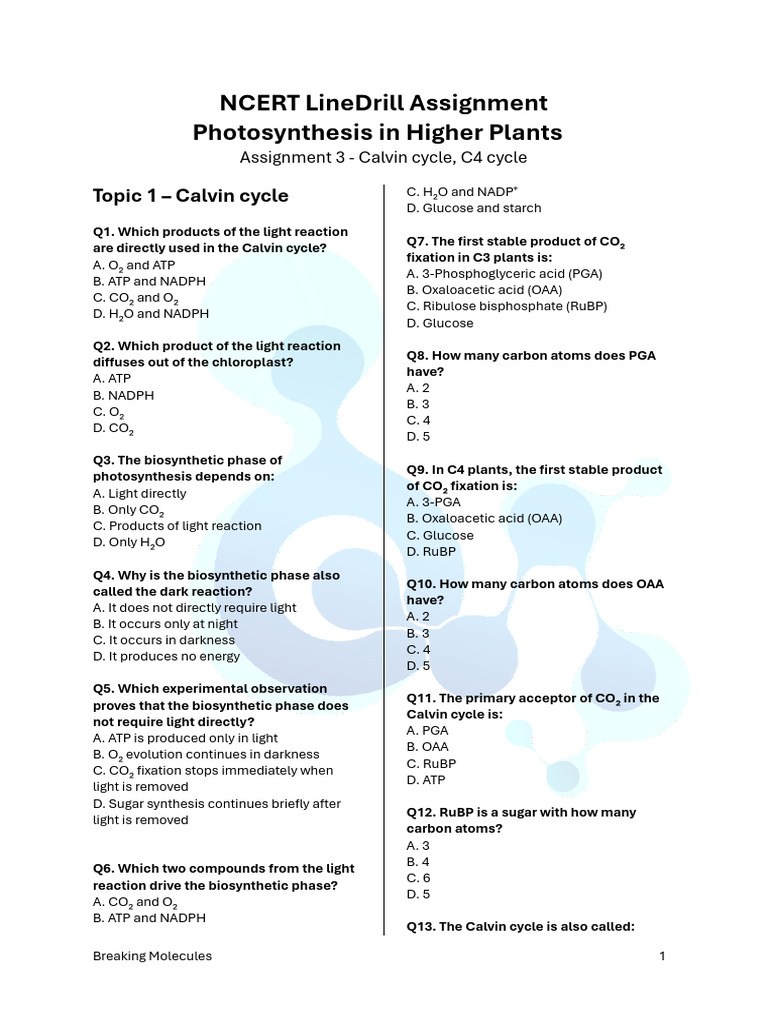 NCERT LineDrill Assignment 3 Photosynthesis in Higher Plants | PDF ...