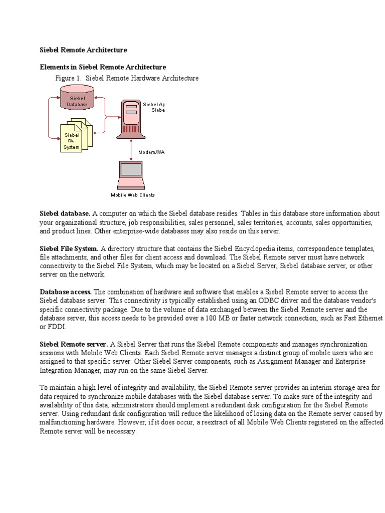 Siebel Remote Concepts | PDF | Databases | File System