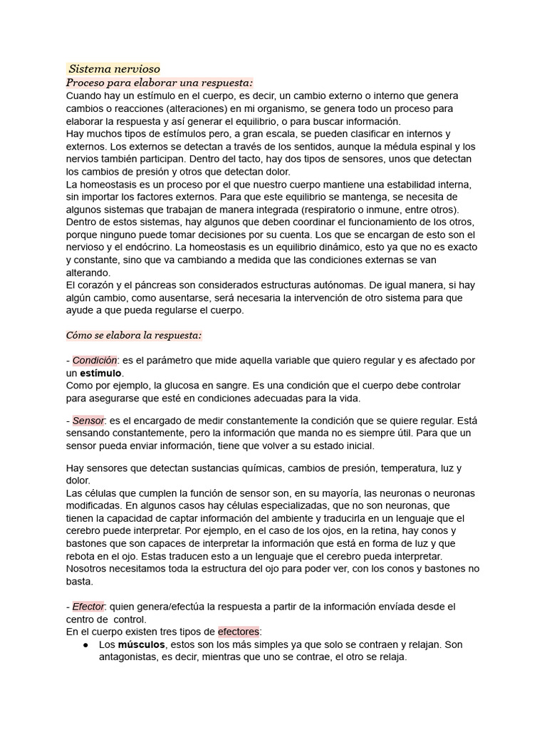 Resumen Sistema Nervioso | PDF | Sinapsis | Neurotransmisor