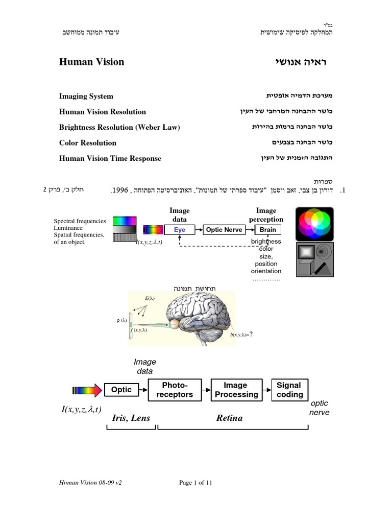 Human_Vision_08-09_v2 | PDF