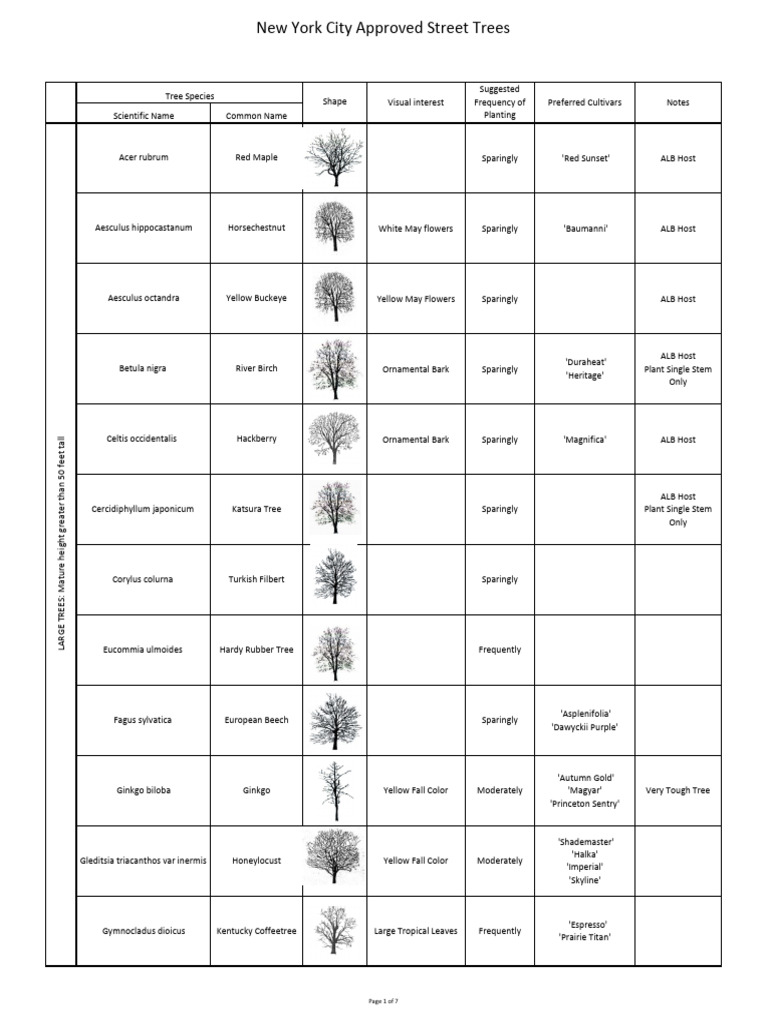 Street Trees List For Permits | PDF | Oak | Maple