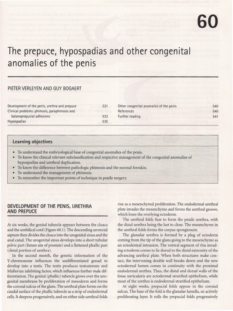 The Prepuce Hypospadias and Other Congenital Anomalies of the Penis ...