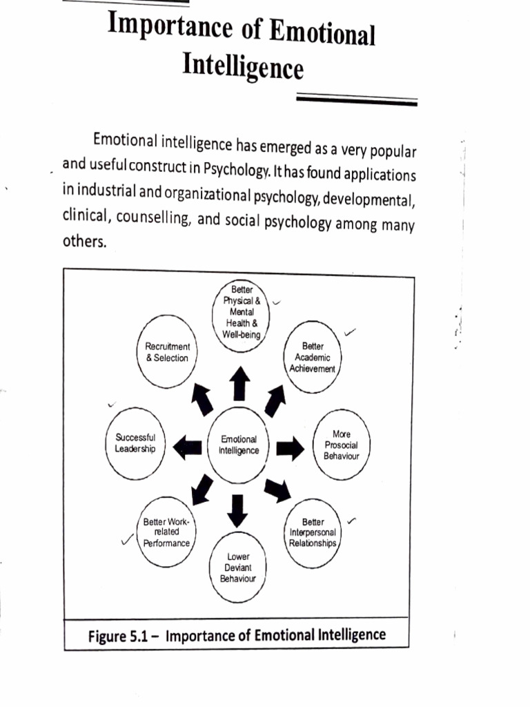 Importance of Emotional Intelligence | PDF | Emotional Intelligence ...